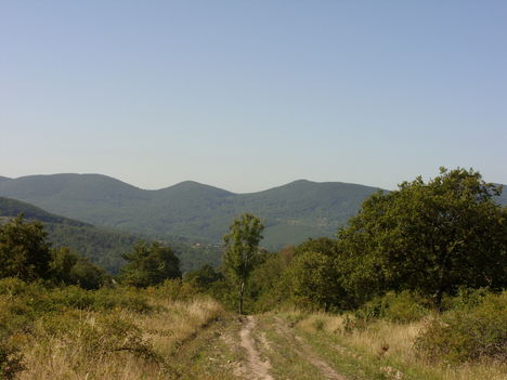 ZCS_087