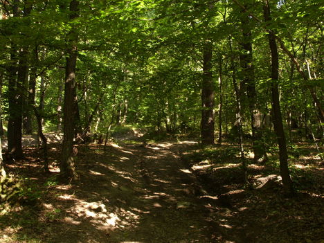 ZCS_088