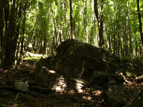ZCS_093