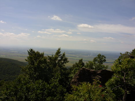 ZCS_110