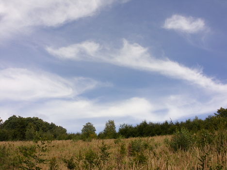 ZCS_136