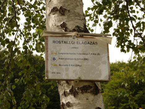 ZCS_161