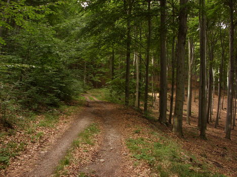 ZCS_162