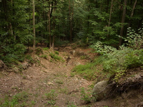 ZCS_191