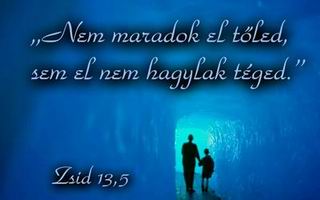 iges36