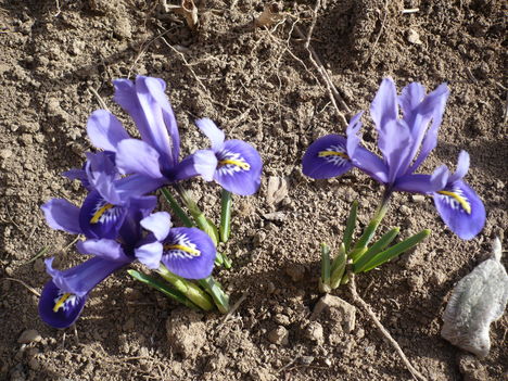 P1010310