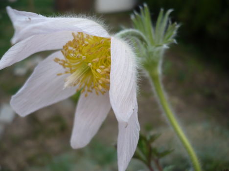 P1010321