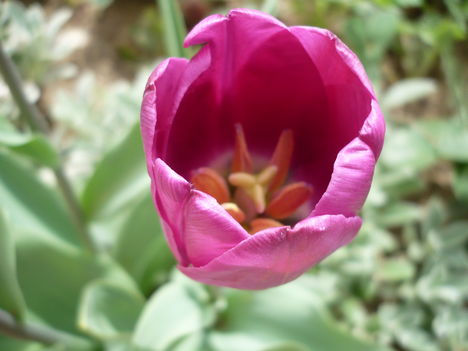 P1010330