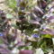 P1010335
