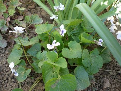 P1010340