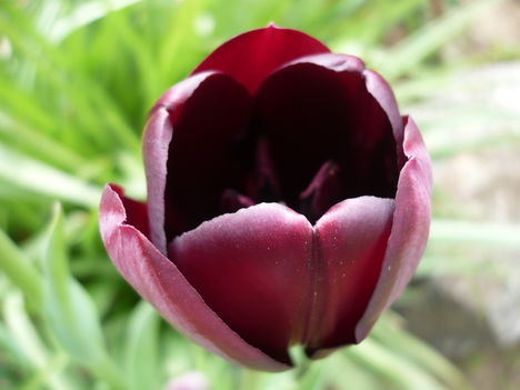 P1010345