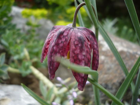 P1010348