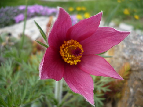 P1010349