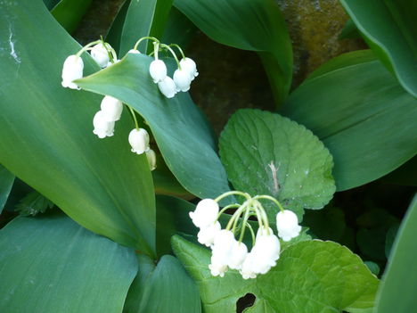 P1010359