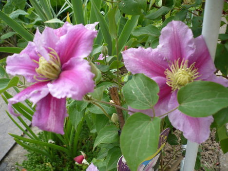 P1010367