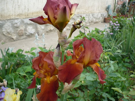P1010376