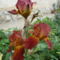 P1010376