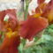 P1010377