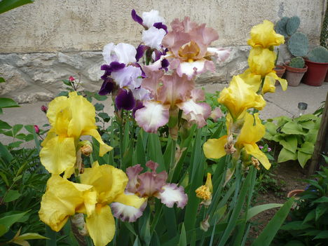 P1010378