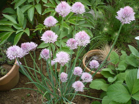 P1010379
