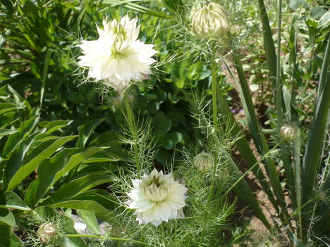 P1010401