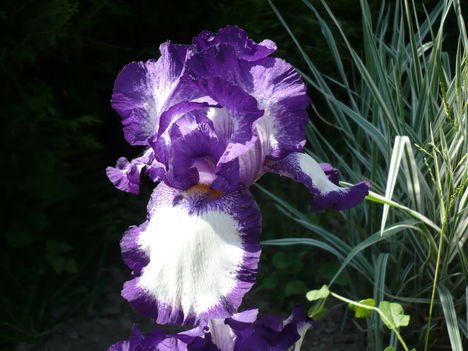 P1010405