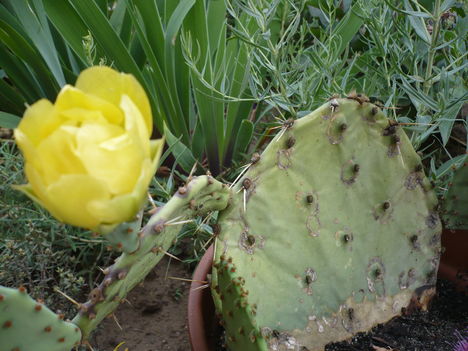 P1010437