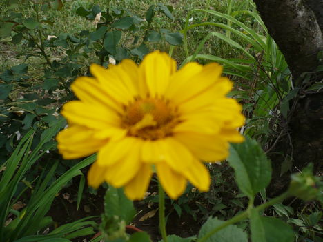 P1010440