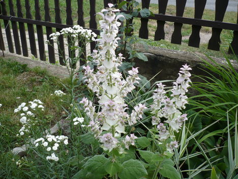 P1010441