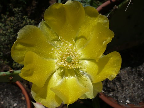 P1010456