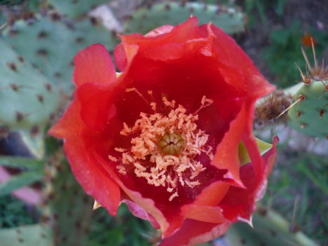P1010459