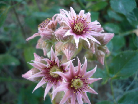 P1010469
