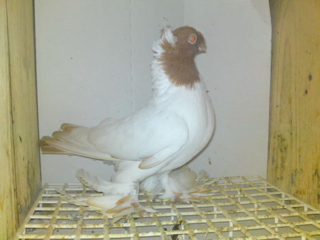 DSC00279