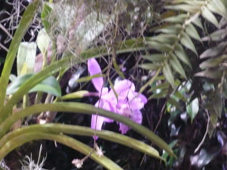 P1010284