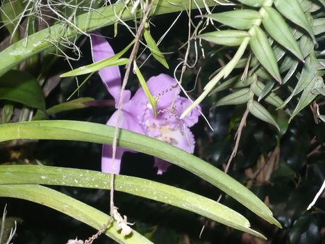 P1010286