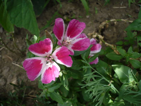 P1010480
