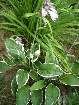 P1010498