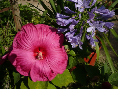 P1010550