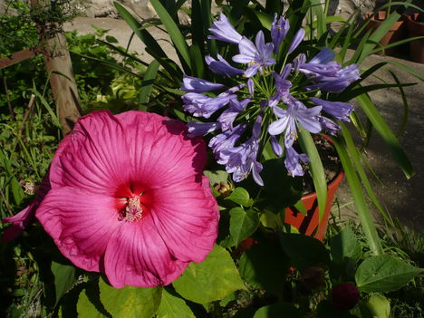 P1010551