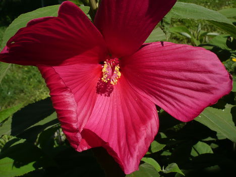 P1010552