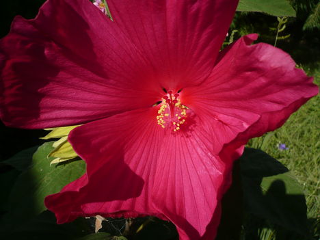 P1010560