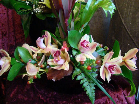 Elegancia. 4