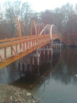Kép0033