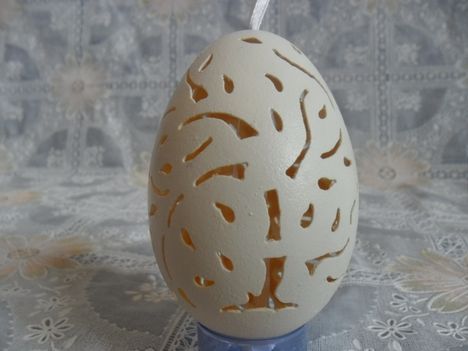 képek 509
