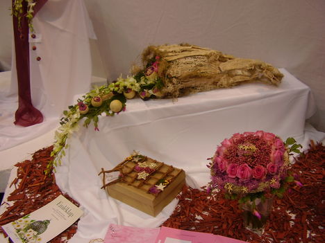 P5010002