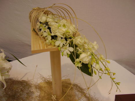 P5010004