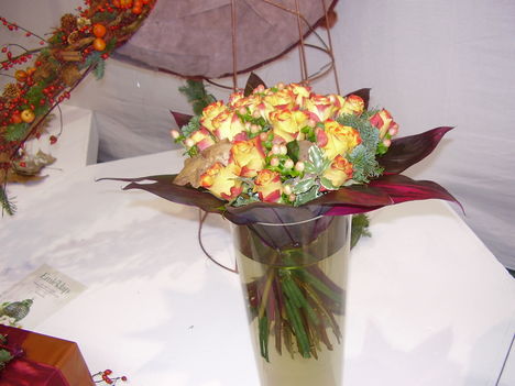 P5010009