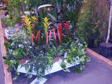 P5010013