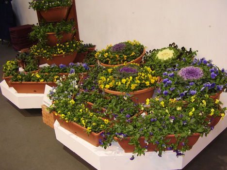 P5010014