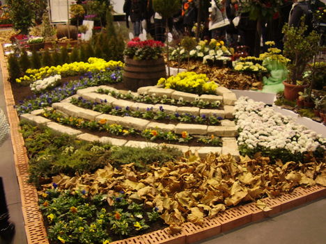 P5010015